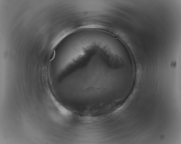 X0000111821425200907231307