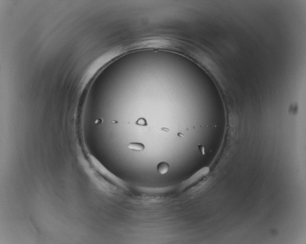 X0000111821426200907231307