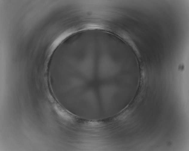 X0000111821427200907231307