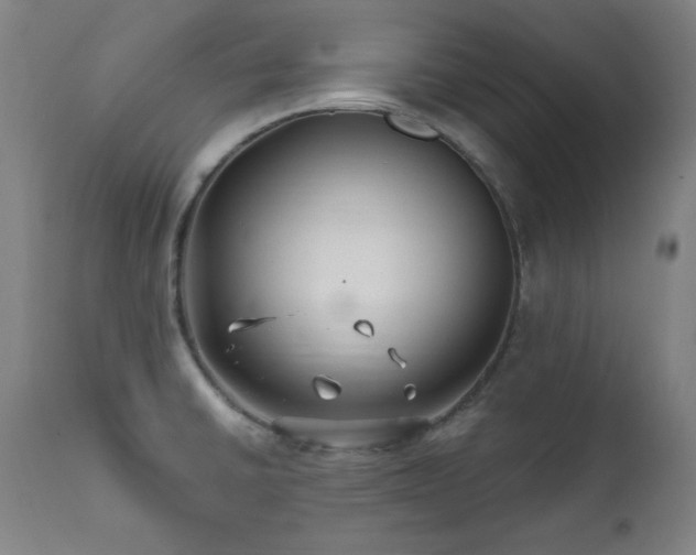 X0000111821430200907231307