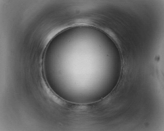 X0000111821431200907231307