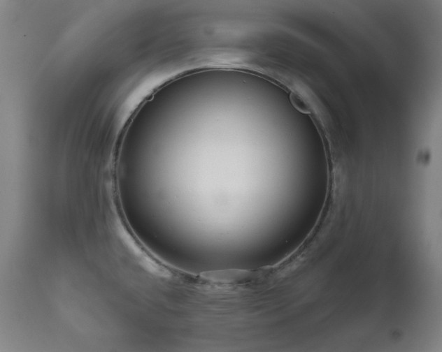 X0000111821432200907231307