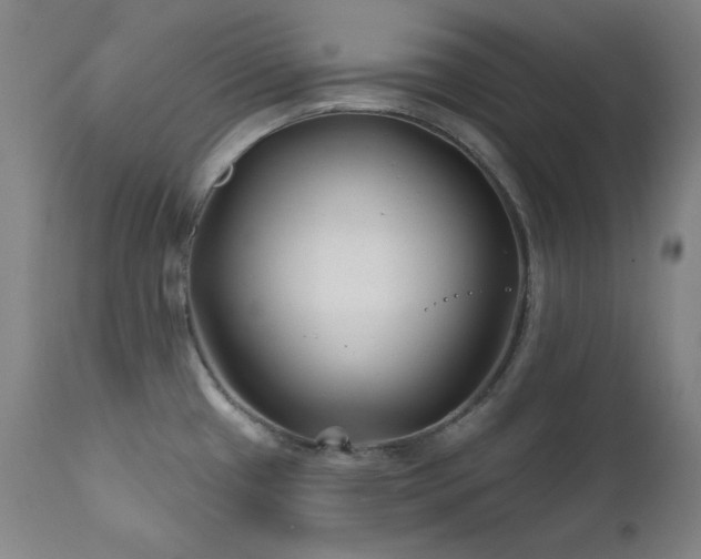 X0000111821433200907231307