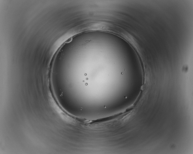 X0000111821434200907231307