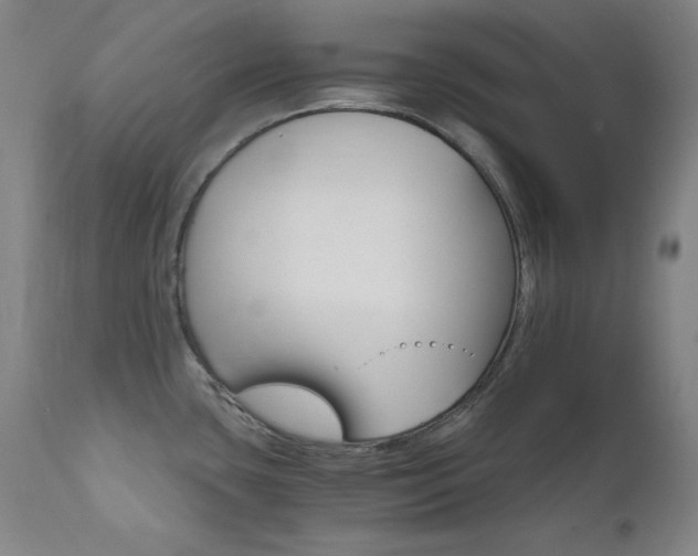 X0000111821435200907231307