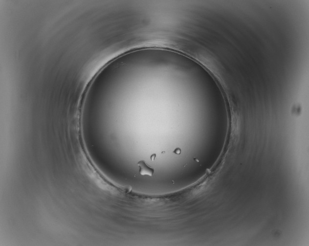 X0000111821436200907231307