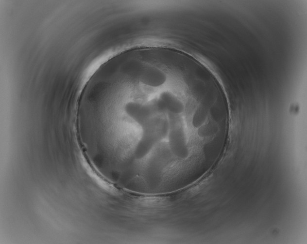 X0000111821437200907231307