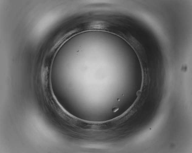 X0000111821438200907231307