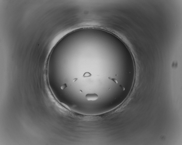 X0000111821440200907231307