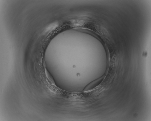 X0000111821441200907231307