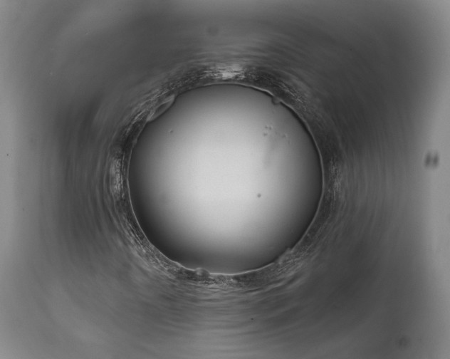 X0000111821442200907231307