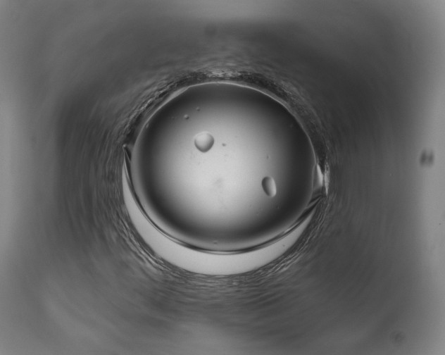 X0000111821444200907231307