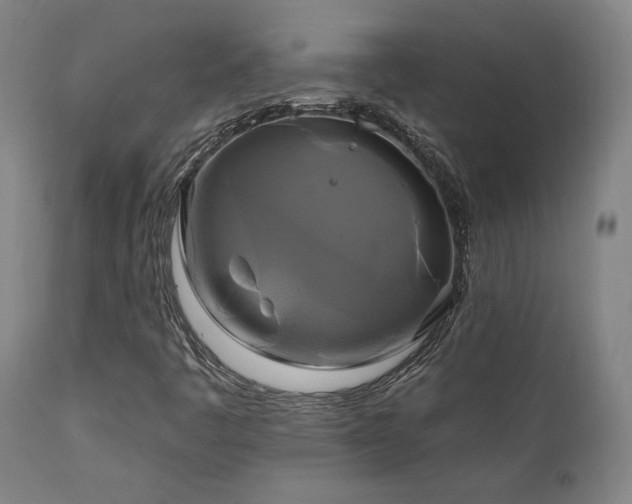 X0000111821445200907231307
