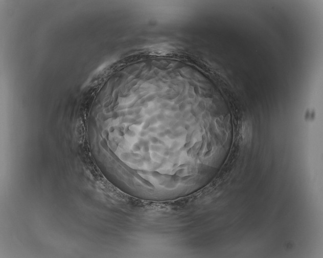 X0000111821446200907231307