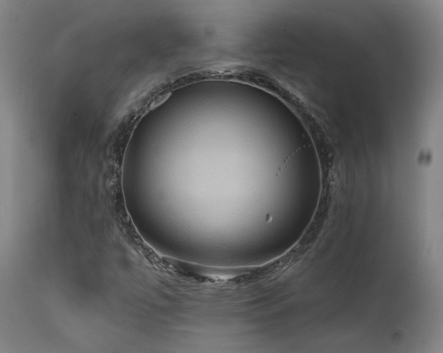 X0000111821447200907231307