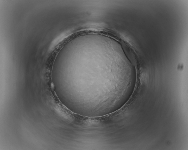 X0000111821448200907231307