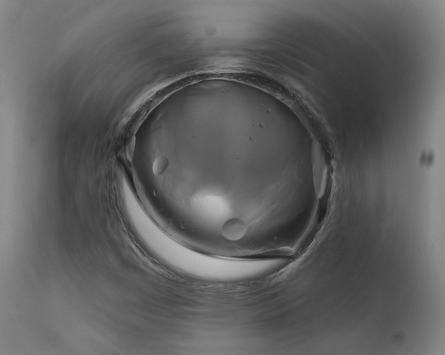X0000111821449200907231307