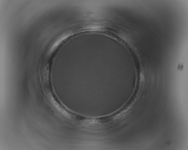 X0000111821450200907231307