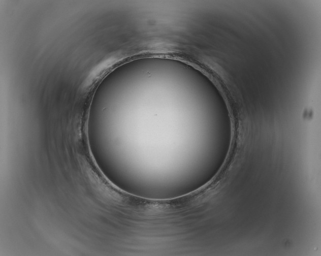 X0000111821451200907231307