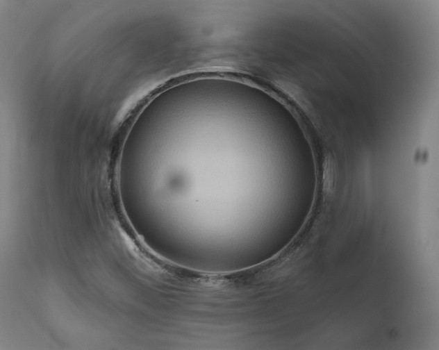 X0000111821452200907231307