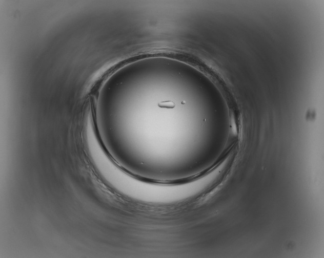 X0000111821453200907231307