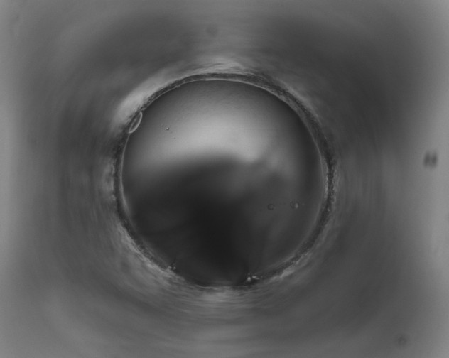 X0000111821455200907231307