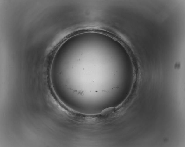 X0000111821456200907231307