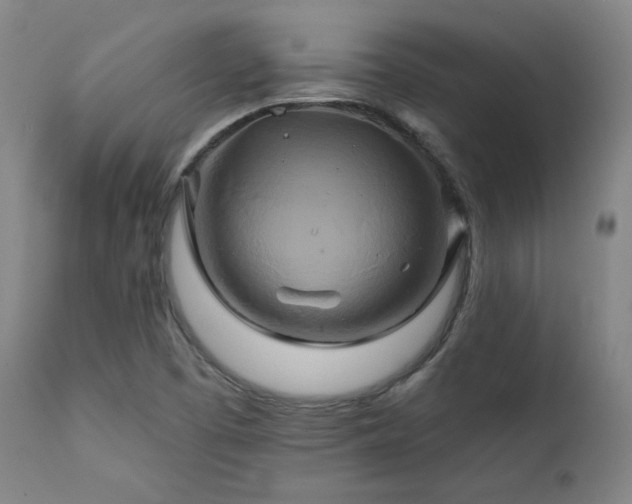 X0000111821457200907231307