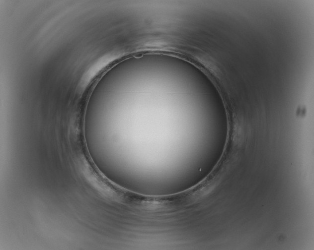 X0000111821458200907231307