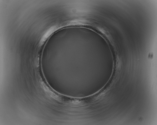X0000111821459200907231306