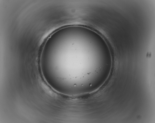 X0000111821460200907231306
