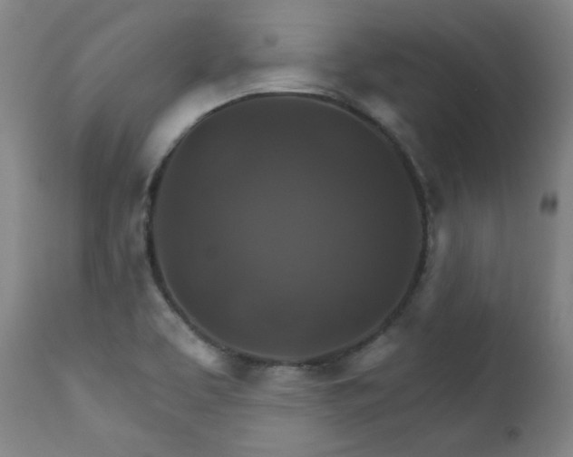 X0000111821463200907231306
