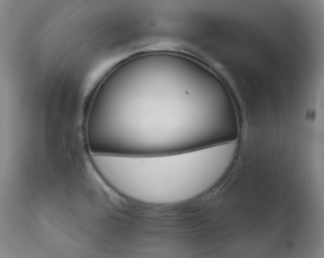 X0000111821464200907231306