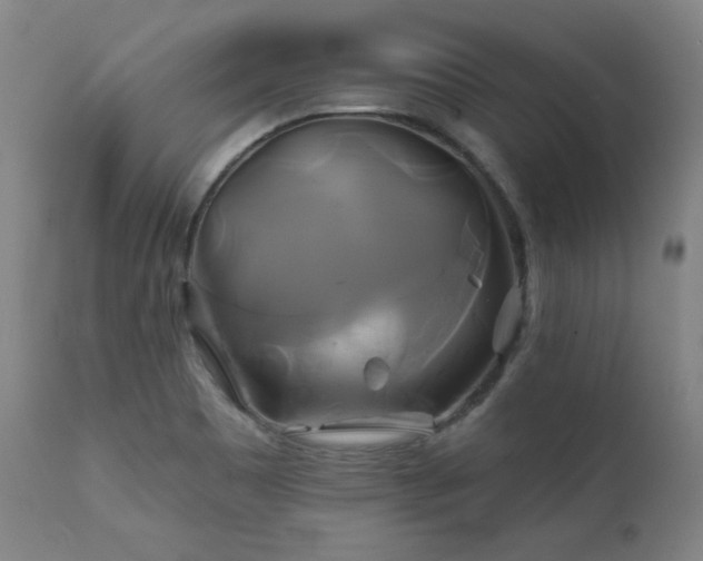 X0000111821465200907231306
