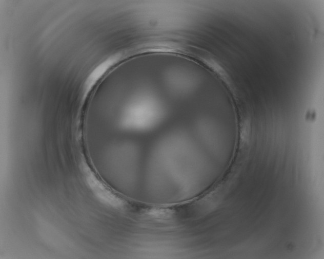 X0000111821466200907231306