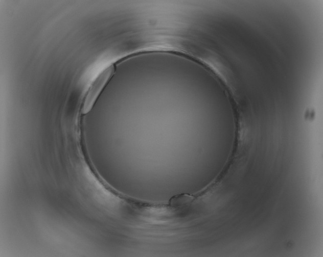 X0000111821468200907231306