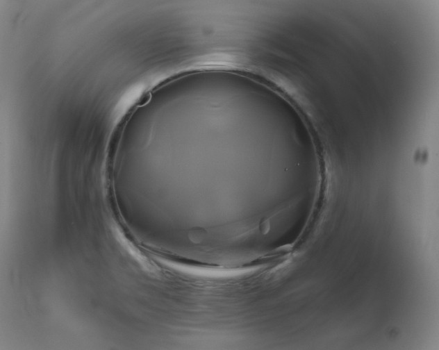 X0000111821469200907231306