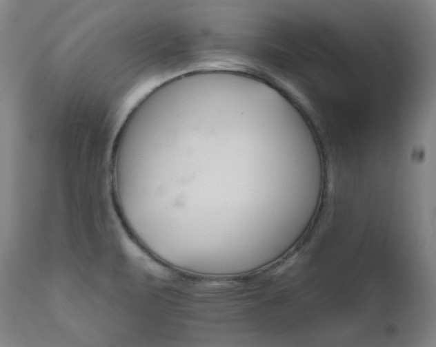 X0000111821471200907231306