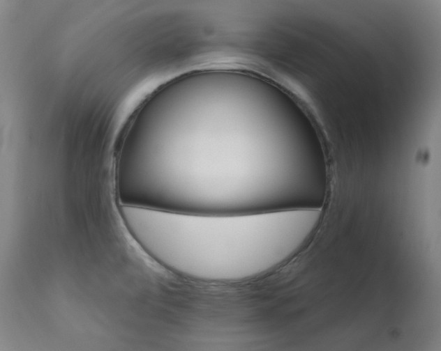 X0000111821472200907231306