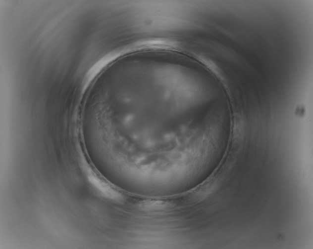 X0000111821474200907231306