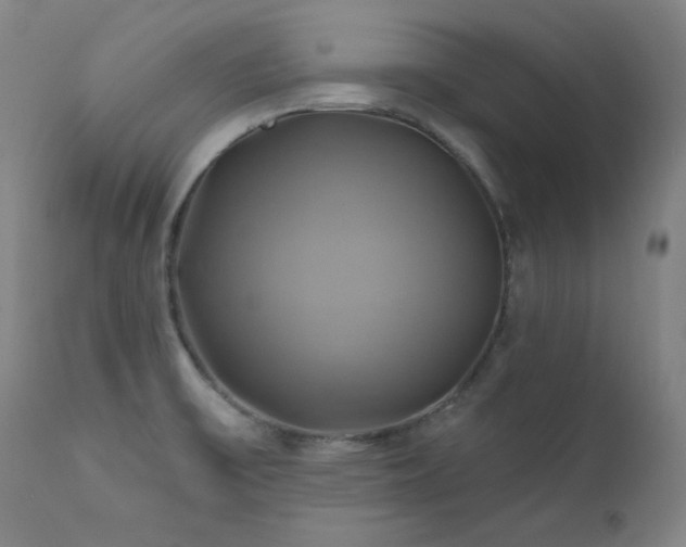 X0000111821475200907231306