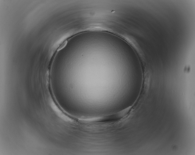 X0000111821476200907231306