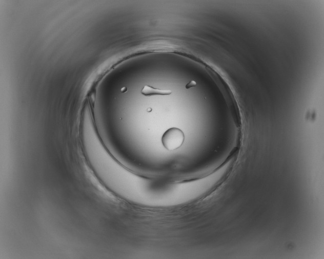 X0000111821477200907231306