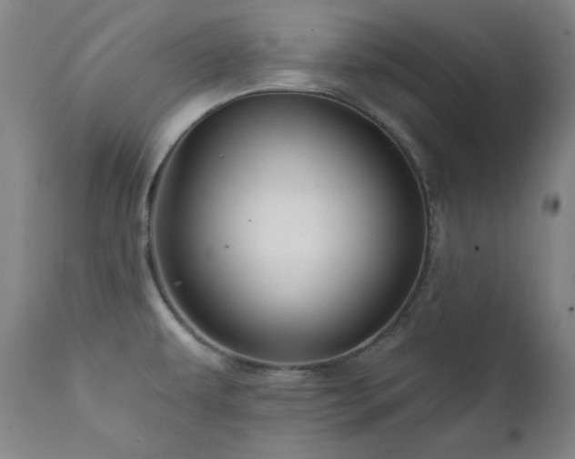 X0000111821479200907231306