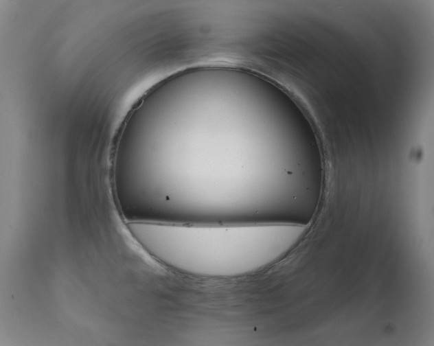 X0000111821480200907231306