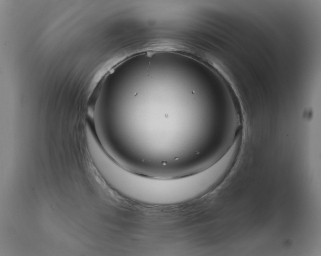 X0000111821481200907231306