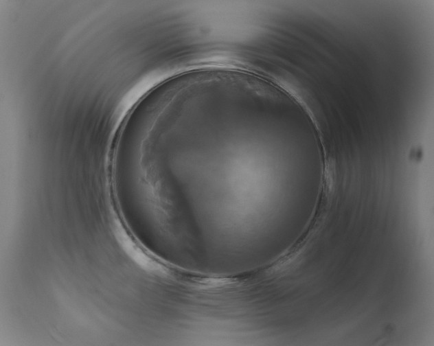 X0000111821482200907231306