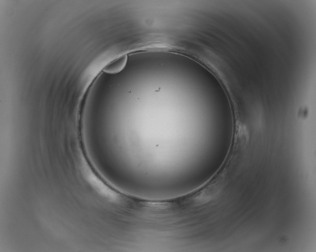X0000111821483200907231306