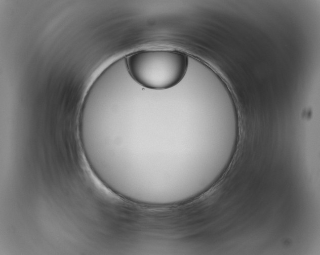 X0000111821484200907231306