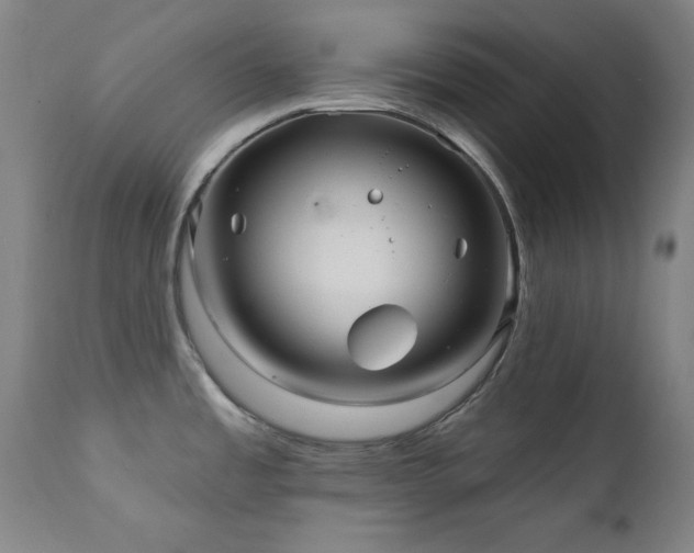 X0000111821485200907231306